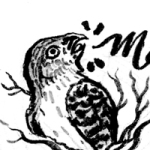 Thumbnail of adolescent Cooper's Hawk from the zine master sheet